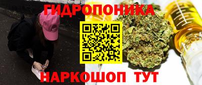 эйфоретик Новозыбков