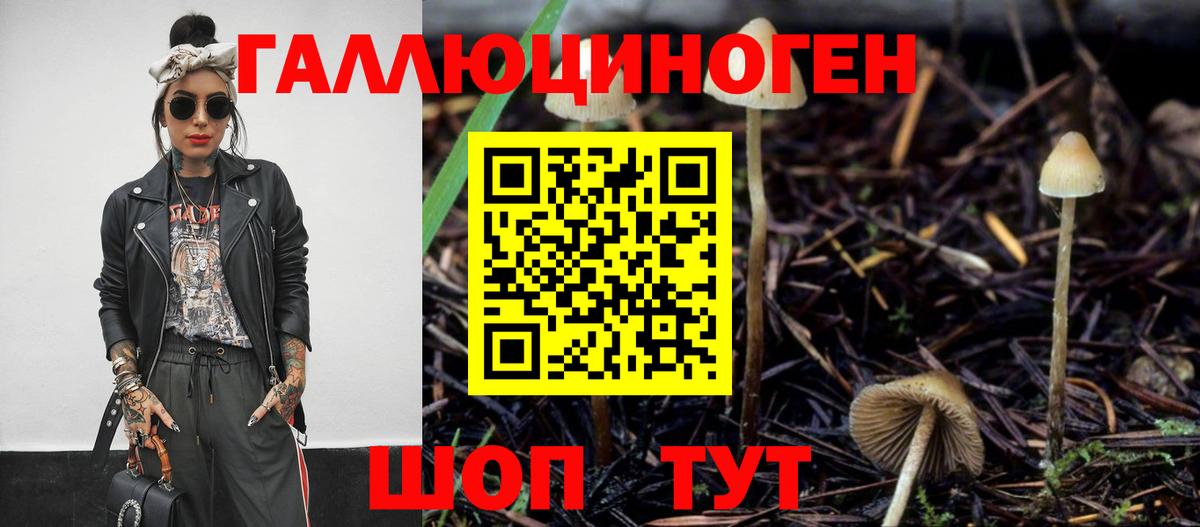 Псилоцибиновые грибы ЛСД  Вход с VPN  Тамбов  Псилоцибиновые грибы Psilocybine cubensis 