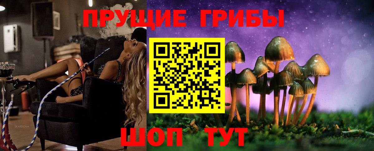 Галлюциногенные грибы прущие грибы Тамбов
